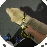 明烛天南