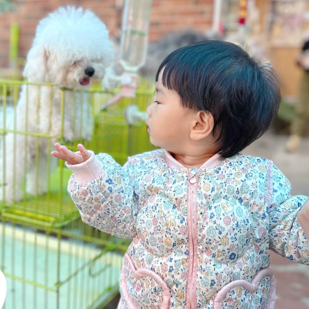 王小奀的柚崽崽