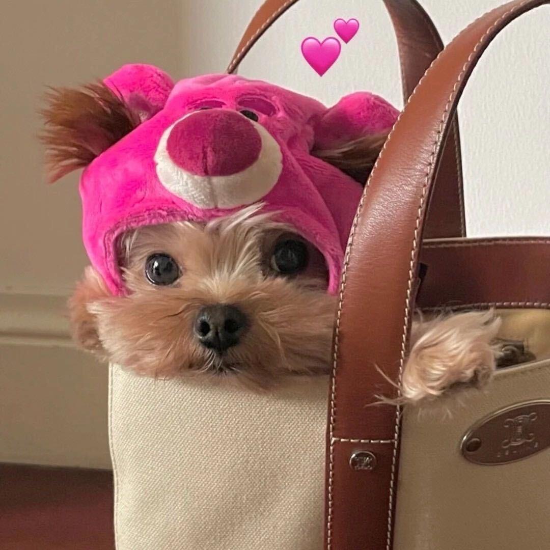 才不是什么小饼干