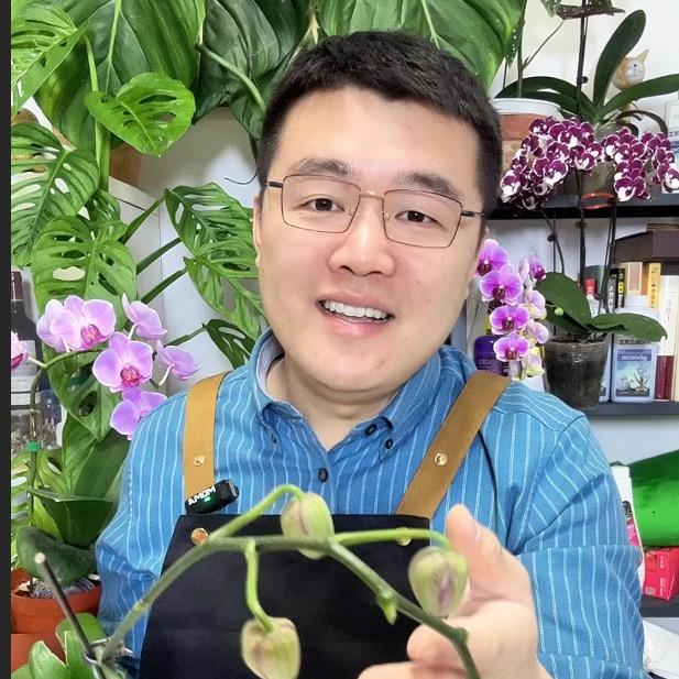 小九家庭养花