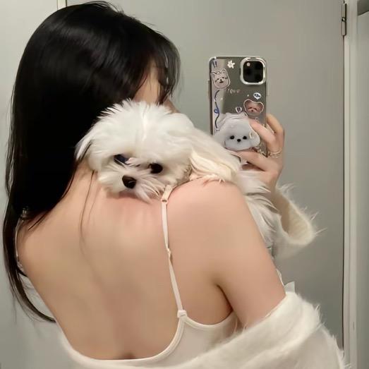 你的小姐姐吖