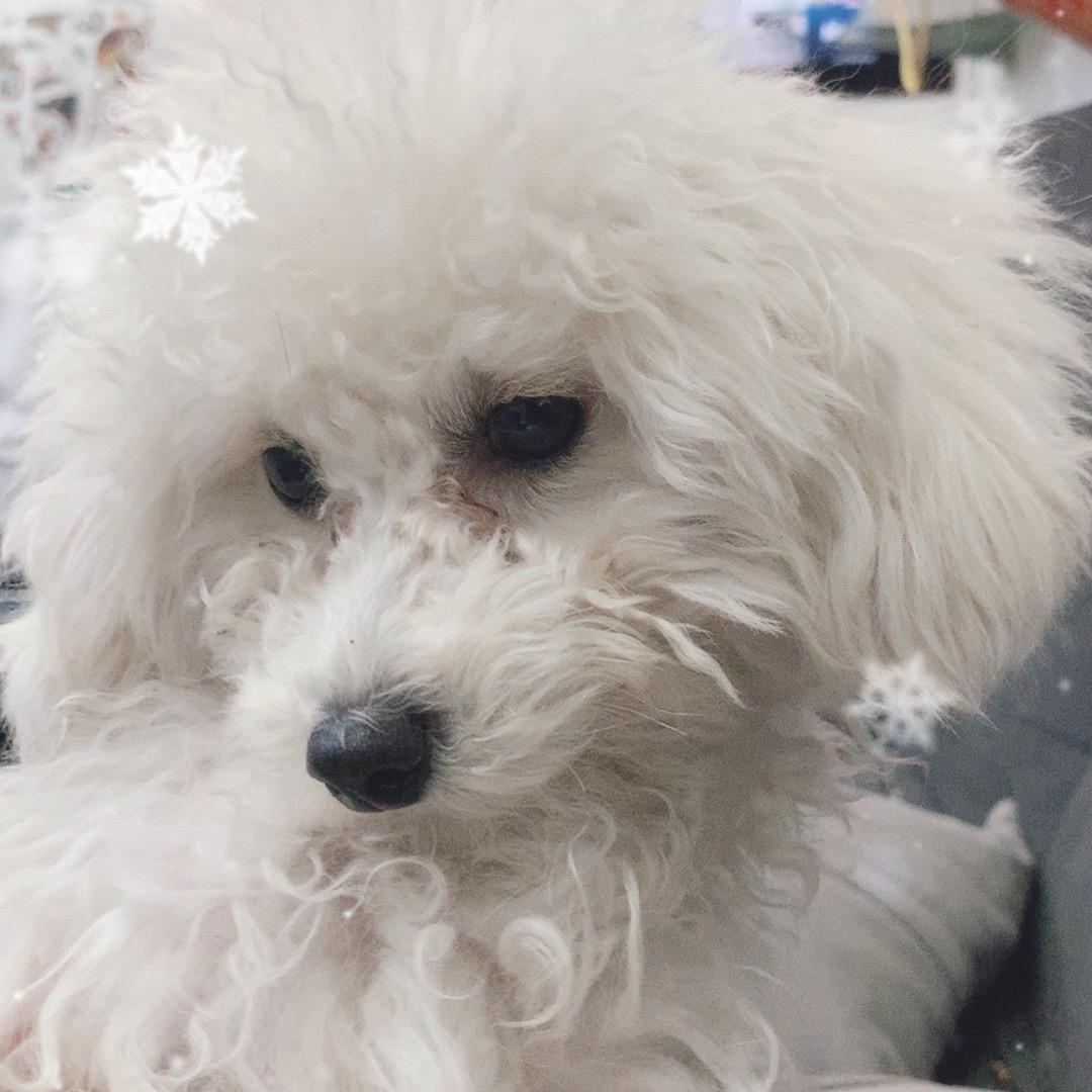 放风筝的小女孩