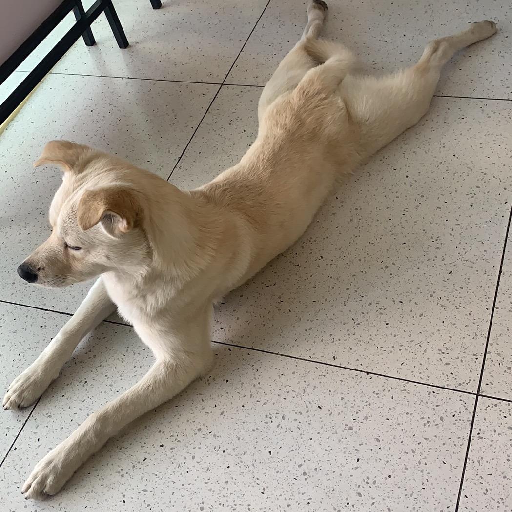 纳格兰⁶的风₆₆₆₆₆₆