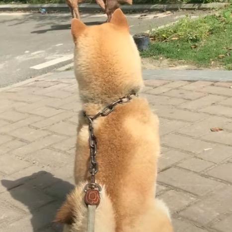 哈夫克子弹杂货铺