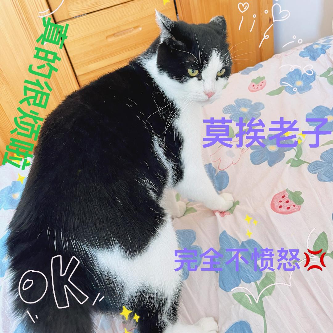 馒头片快点好不好啊