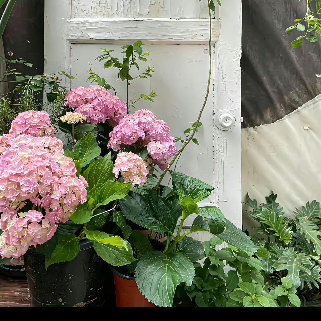 今喜·jinxi 集合店