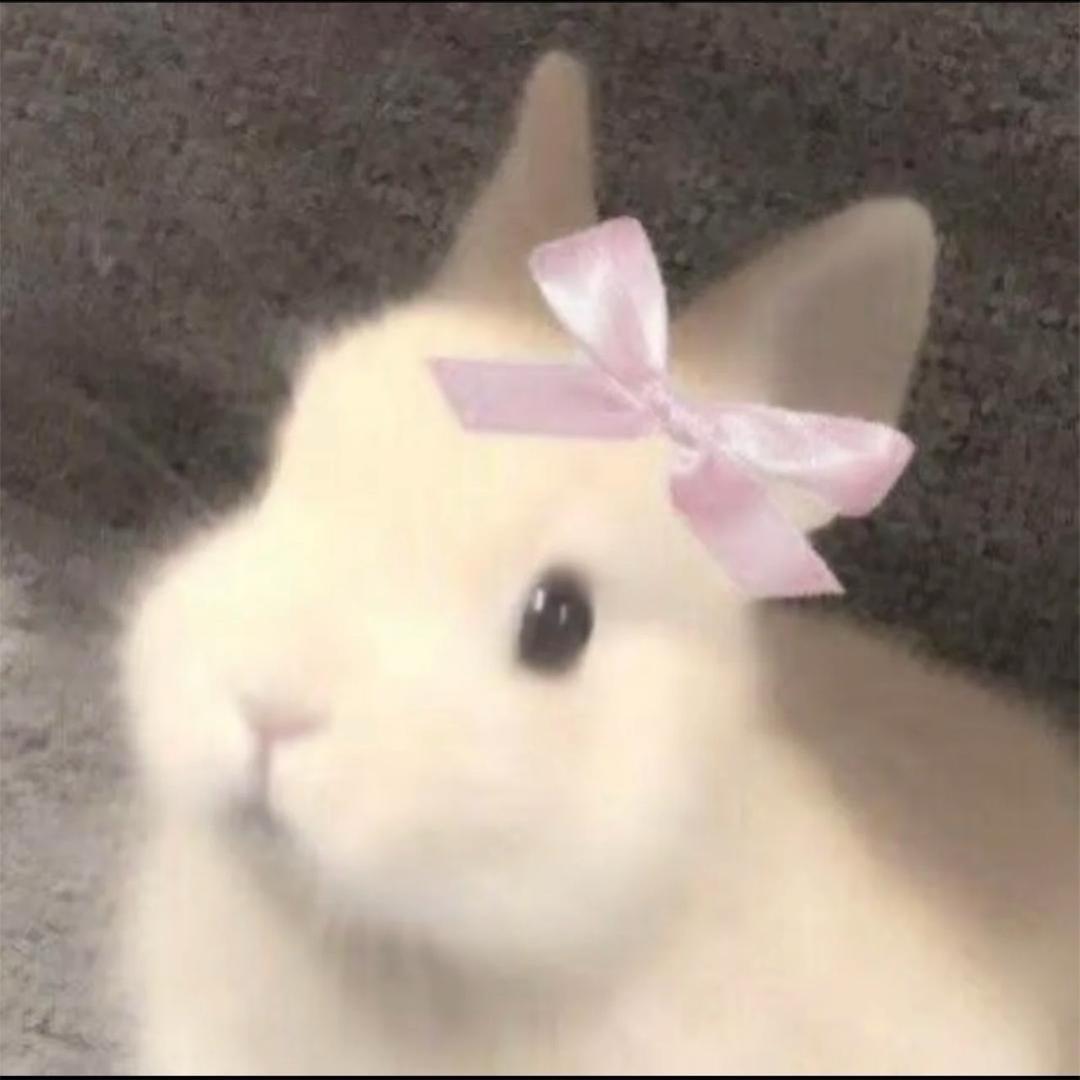 麻辣兔头
