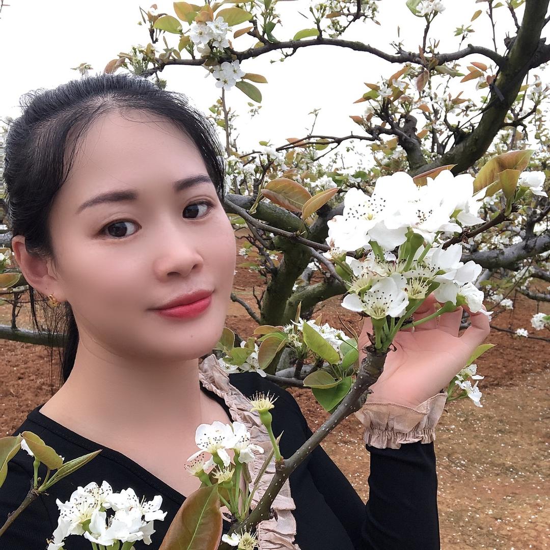 美人鱼