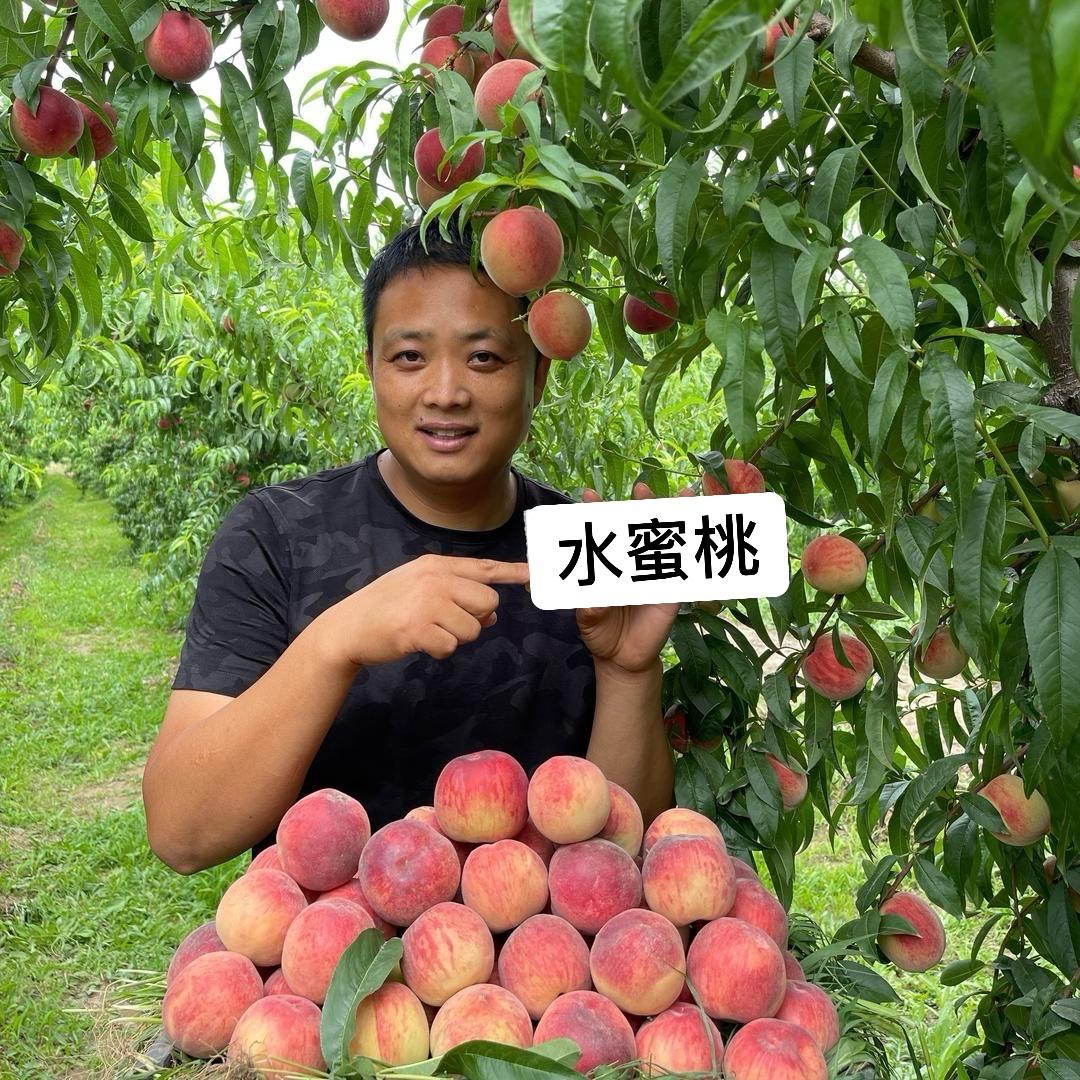 花太香农场（蜜桃熟了）