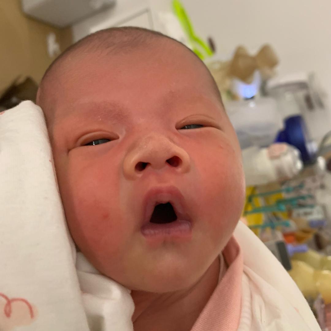 1个小妥妥🐰