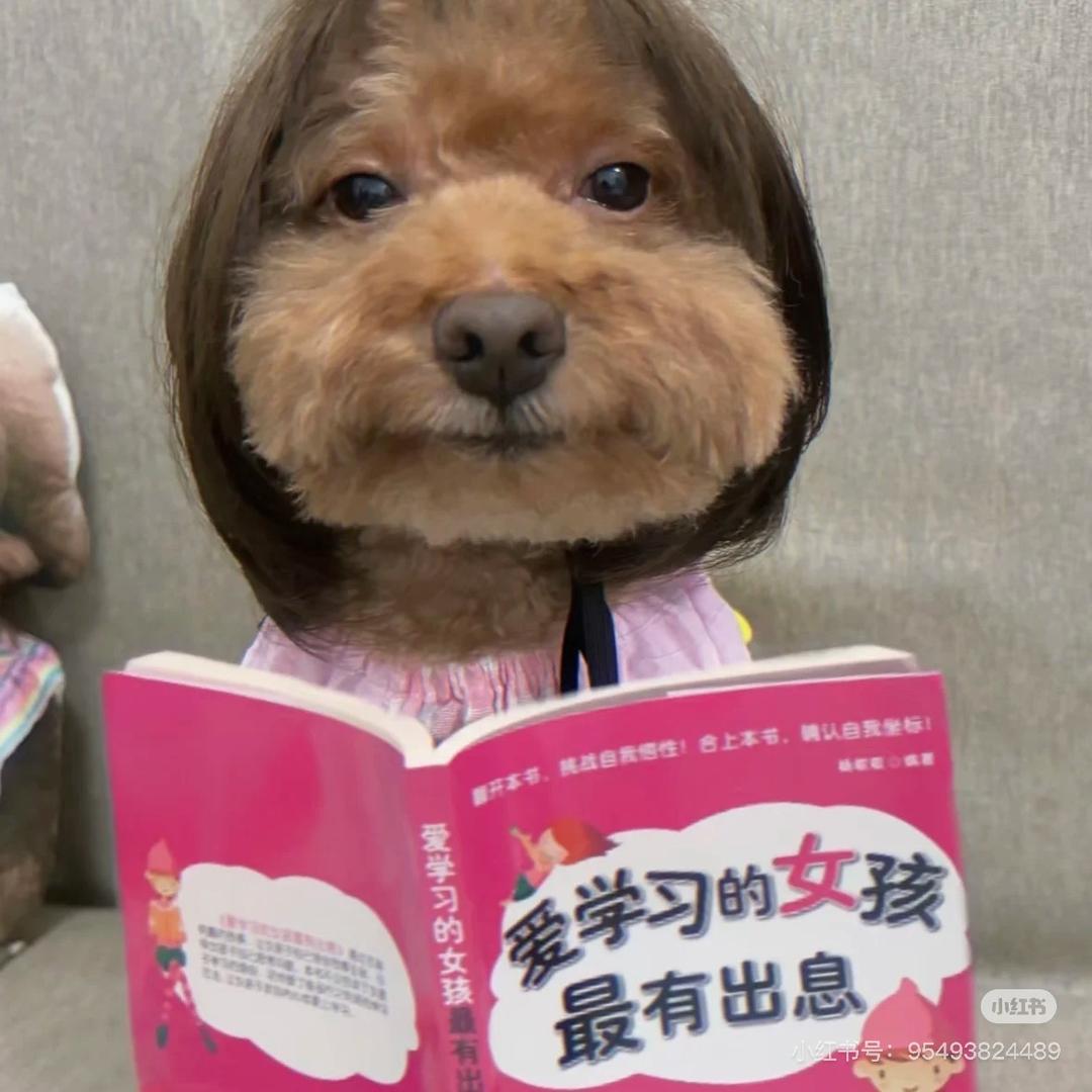 烦死了