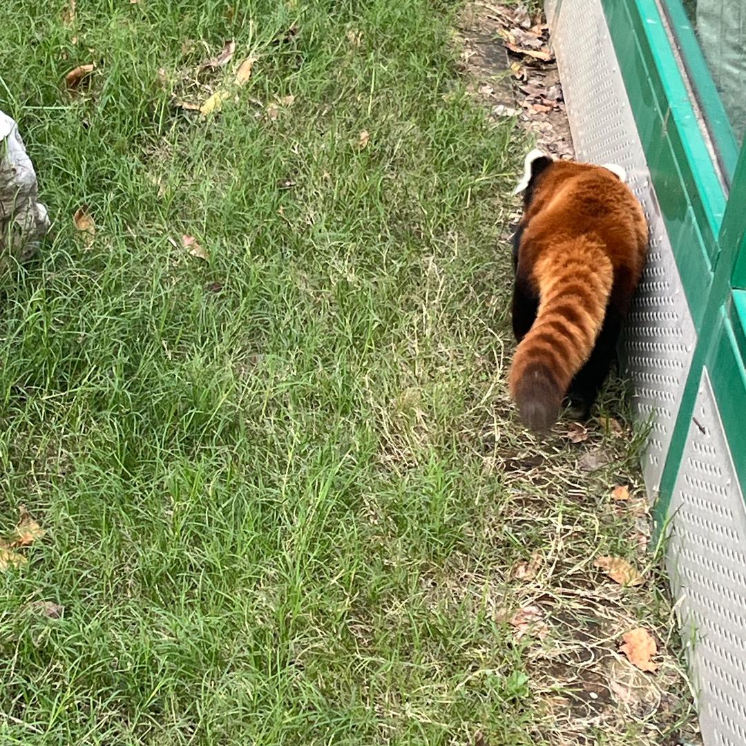 @新概念
