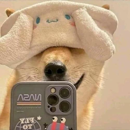 _佳人