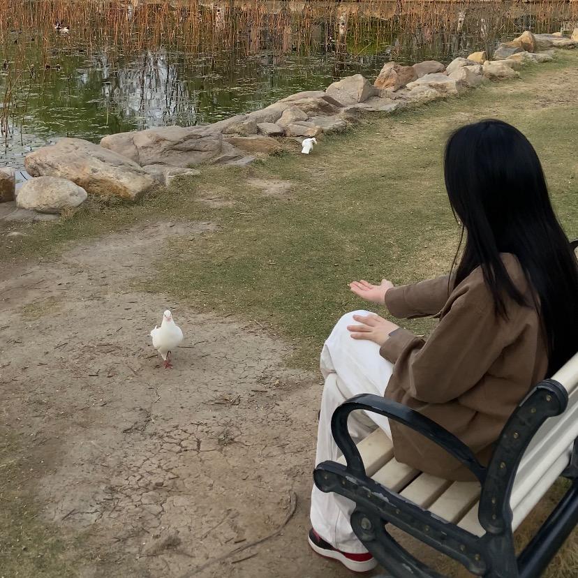 酷酷库里杨