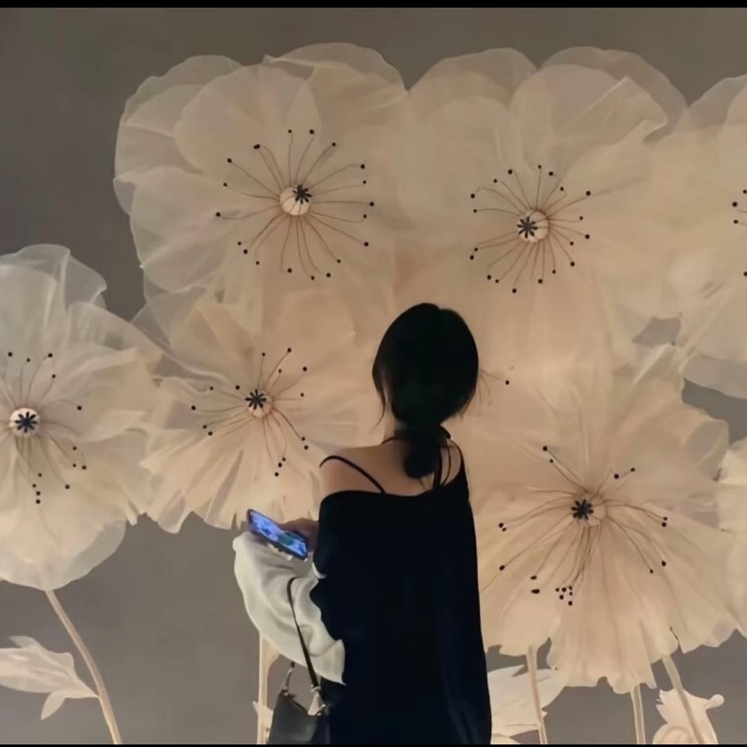 H-H-H小汤圆