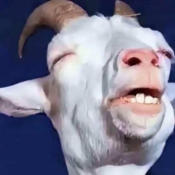 戚戚