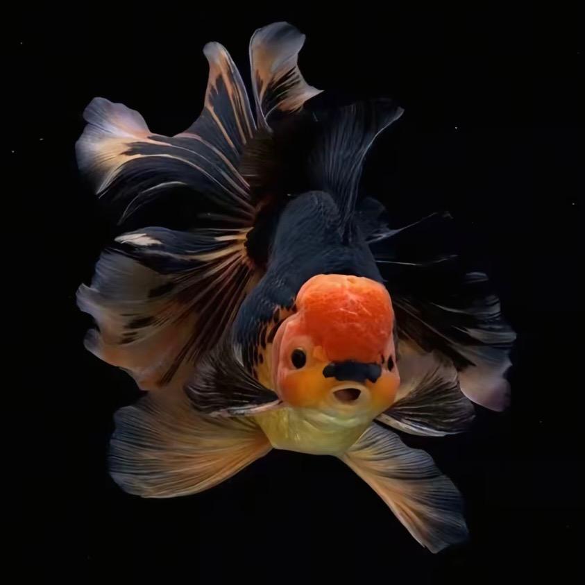 海底世界水族店