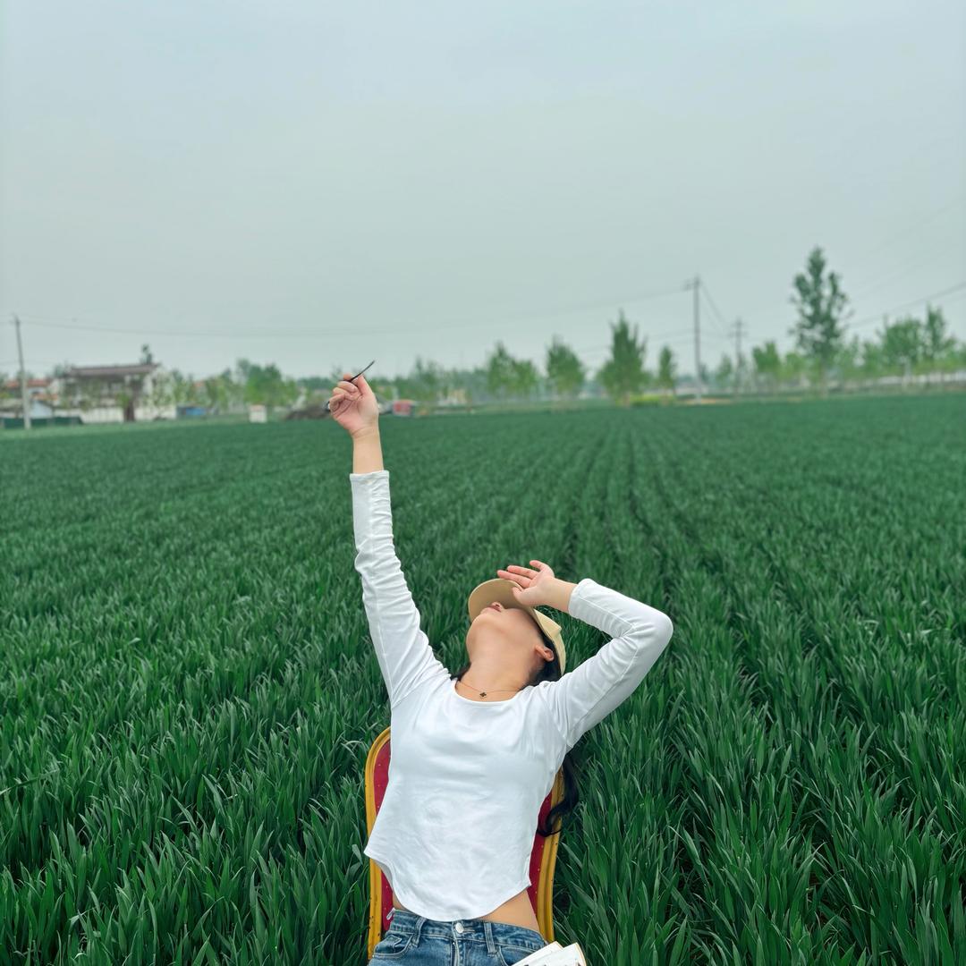 杨焕