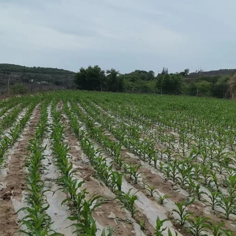 二级残疾挣生活费