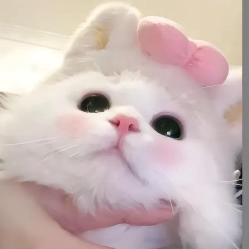 1点点.