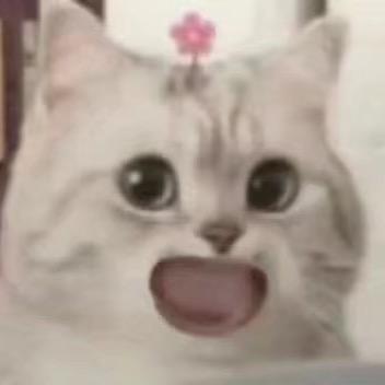 不当sp