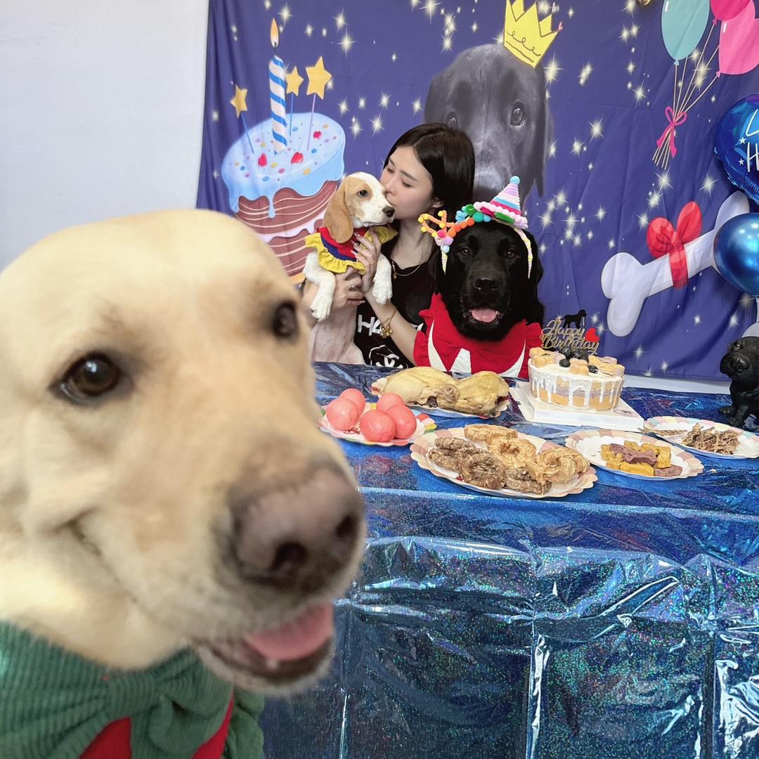 黑起香香的奶比🖤