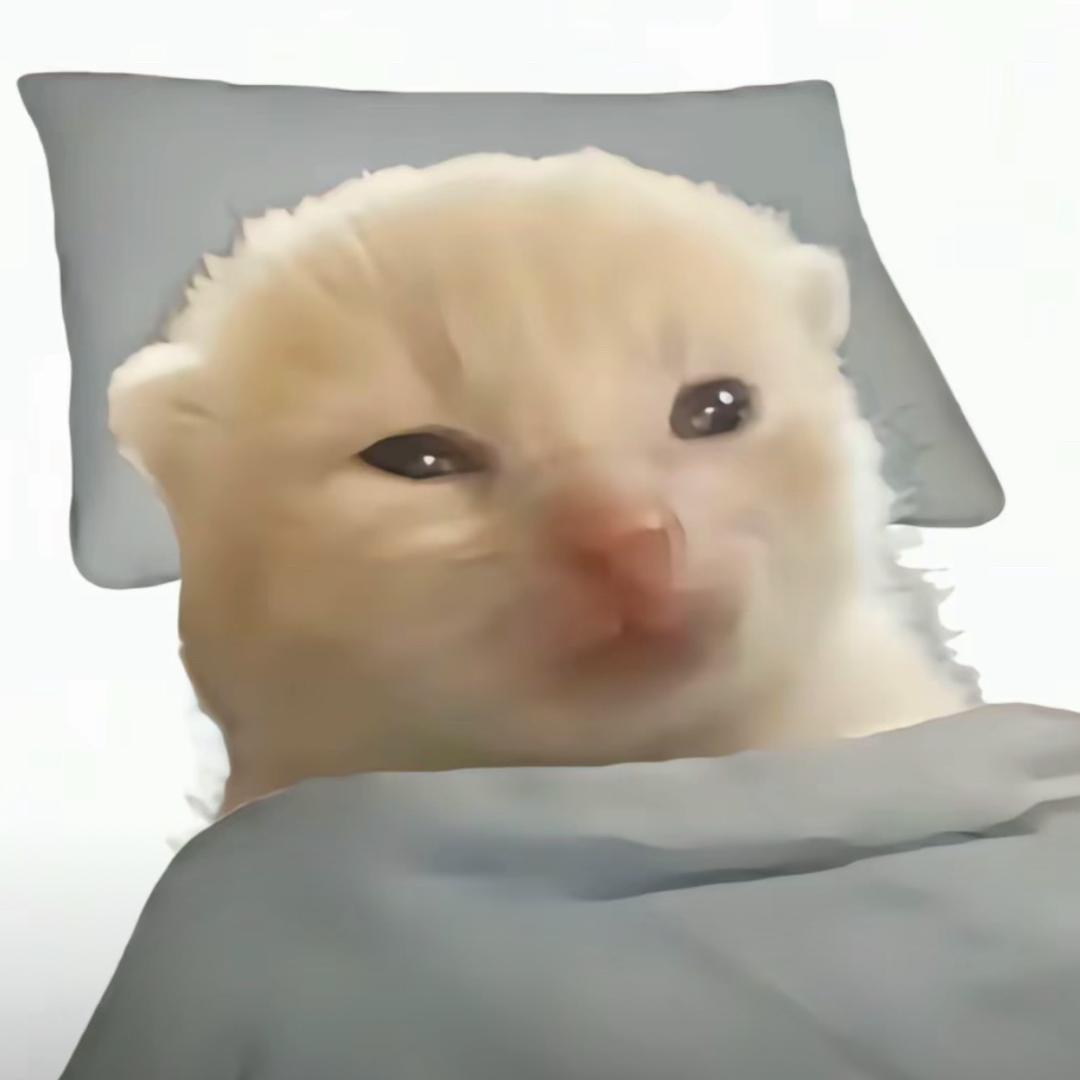 皮燕子镶钻活的灿烂