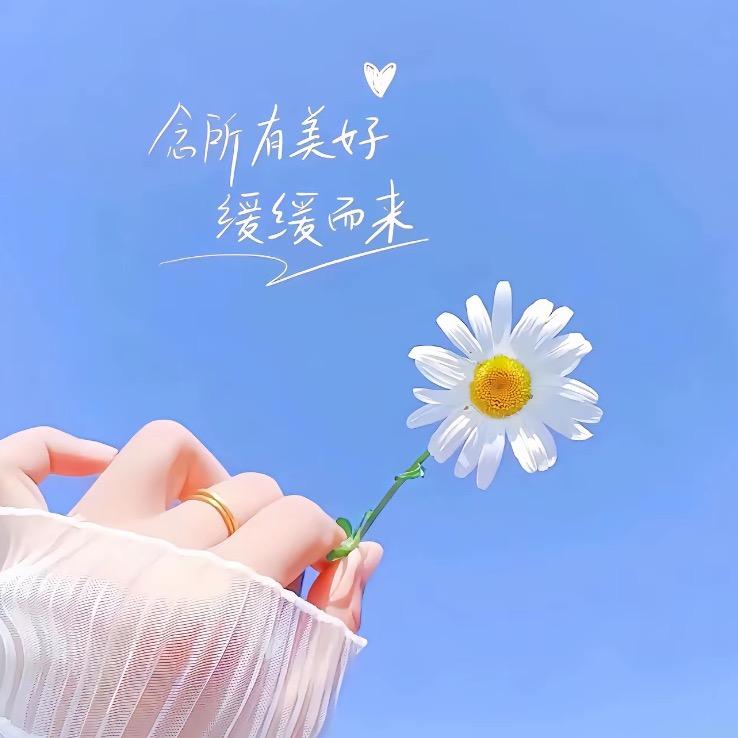 珍妮百货