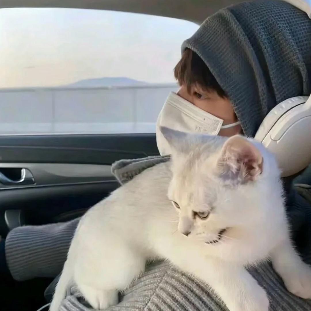 尤川 （撸货版）