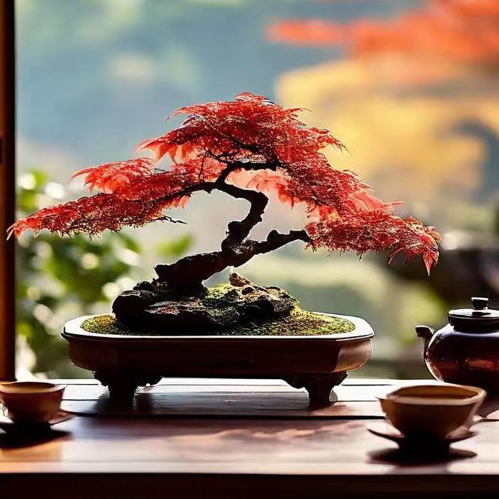 子建盆景艺术