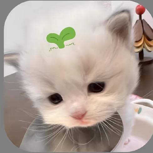 吴嘻嘻
