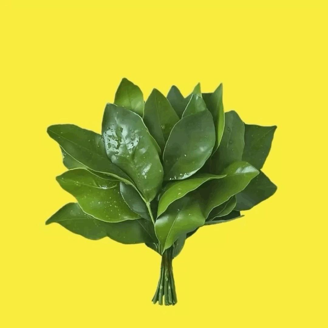一只董