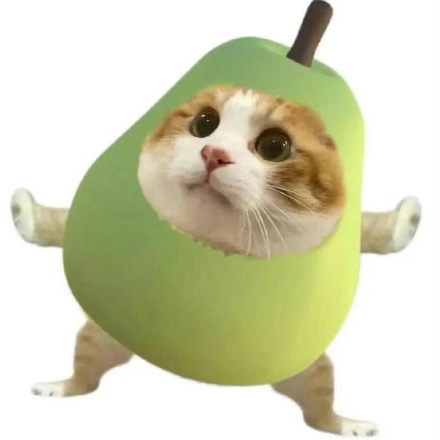 孔de辉