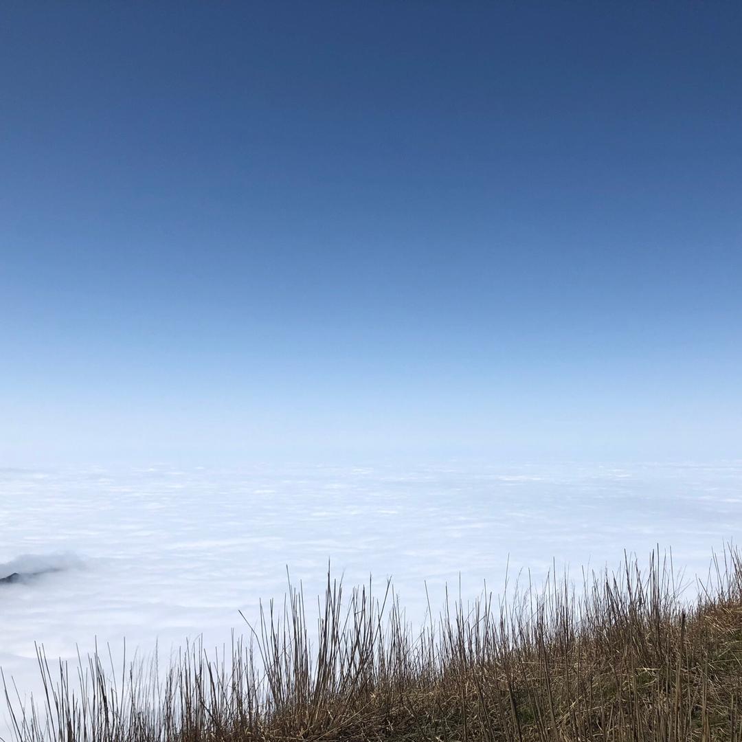刘里刘气