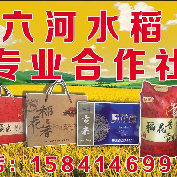 桓仁六河水稻专业合作社
