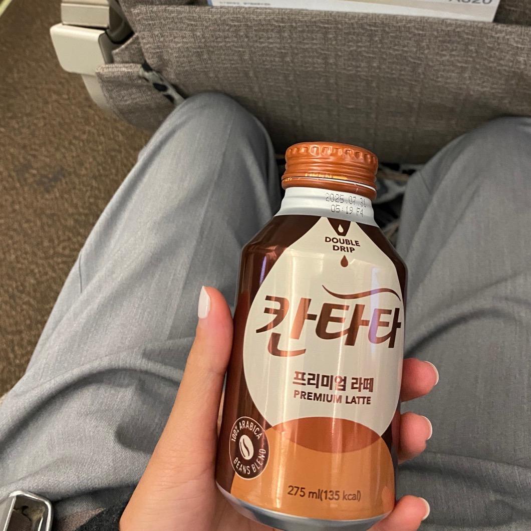 香樟树