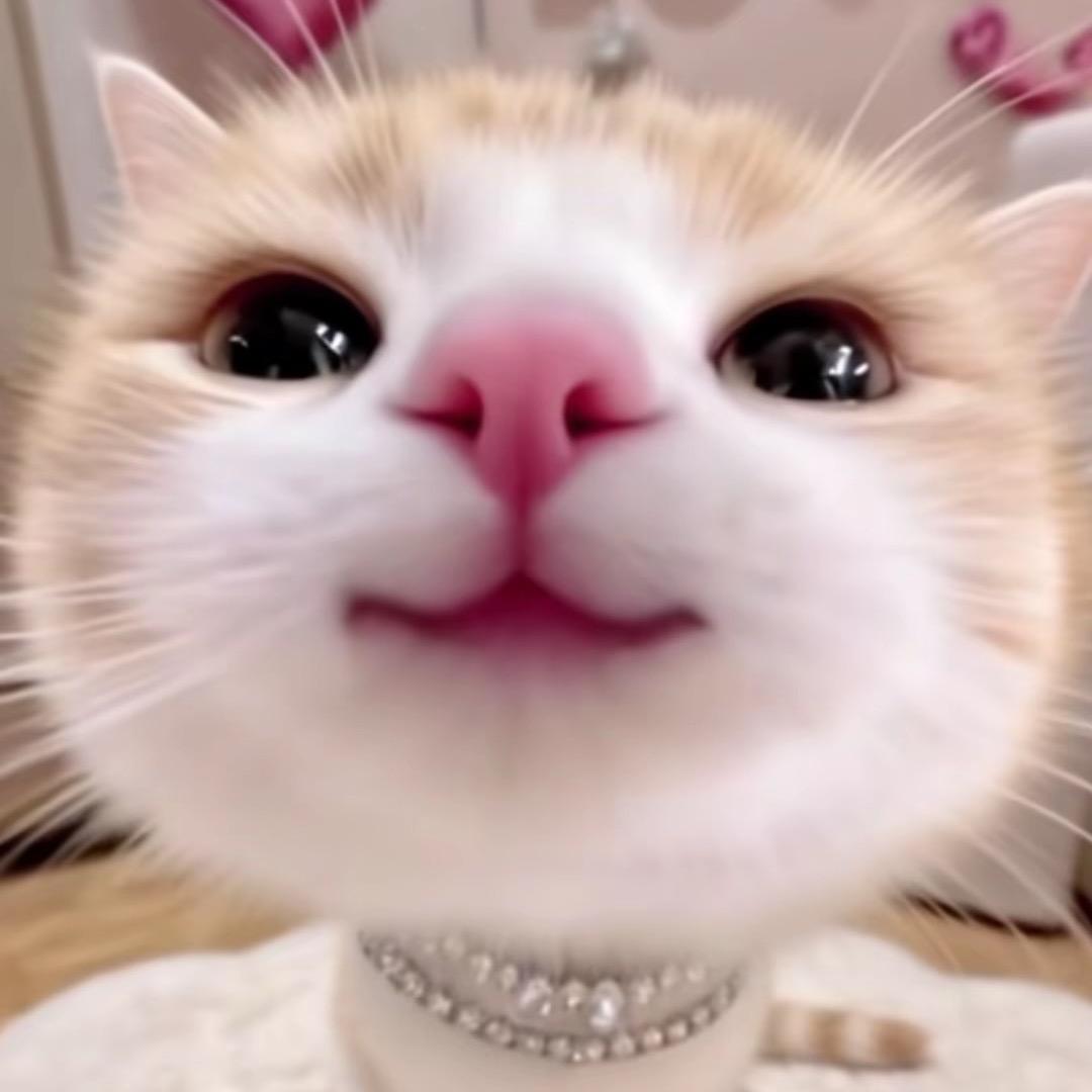 啊媚
