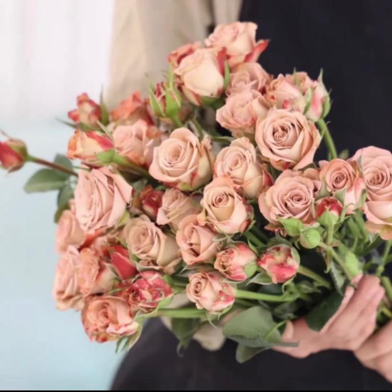 小杨优选鲜花（鲜花批发）