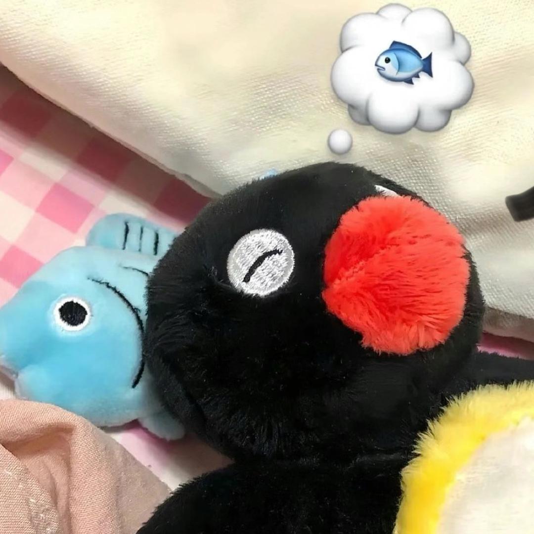 镜中花水中月
