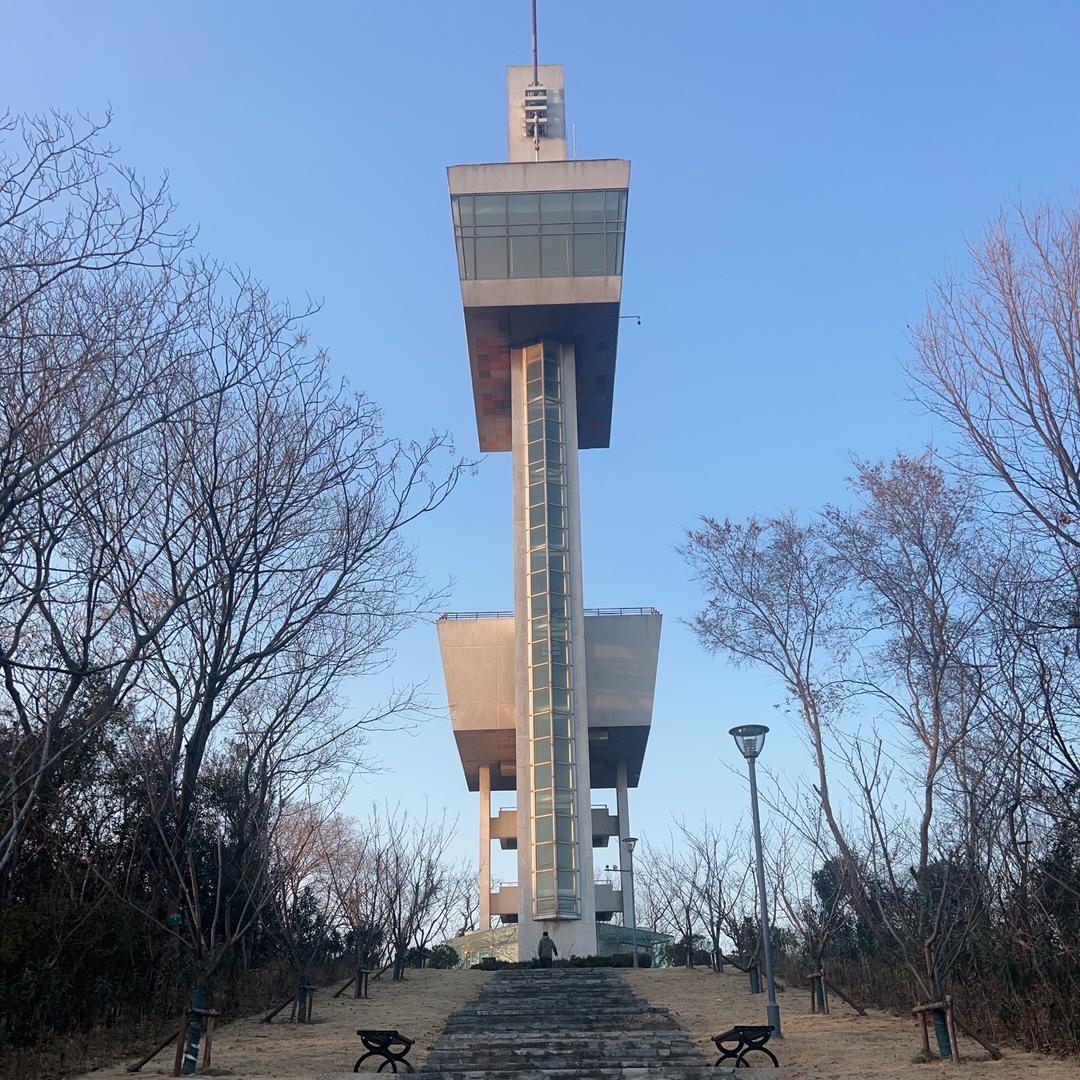 丽沙985