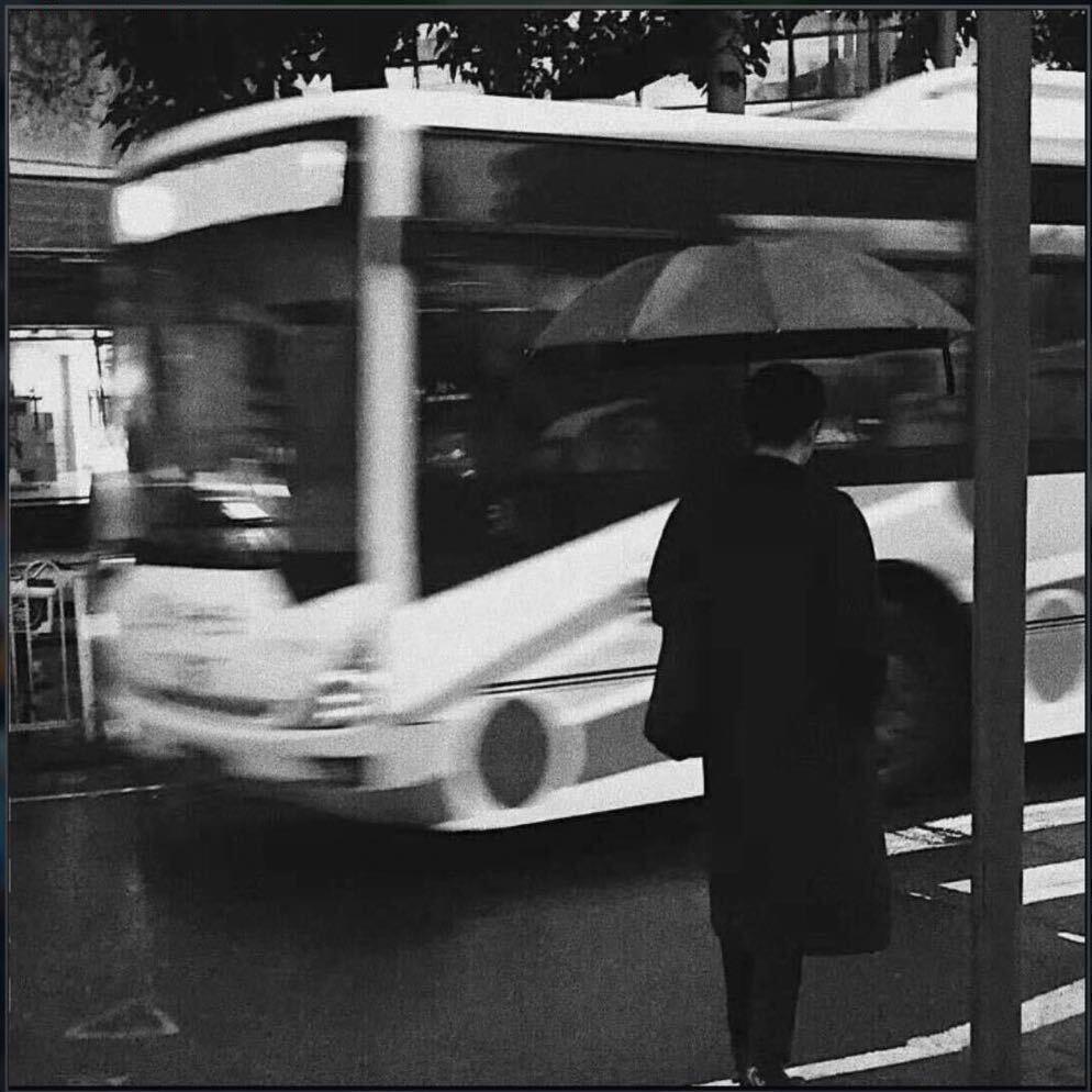 光头强爱吃香菜