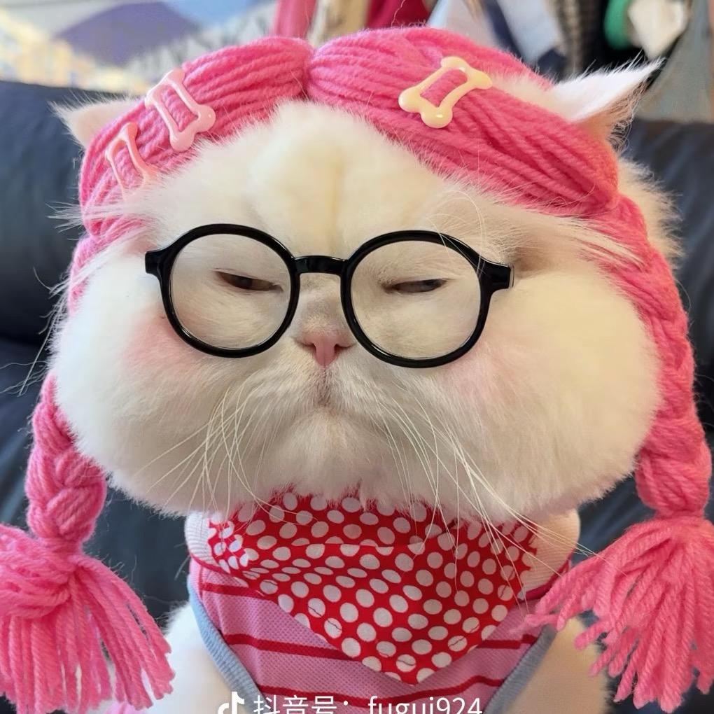 今晚早点睡