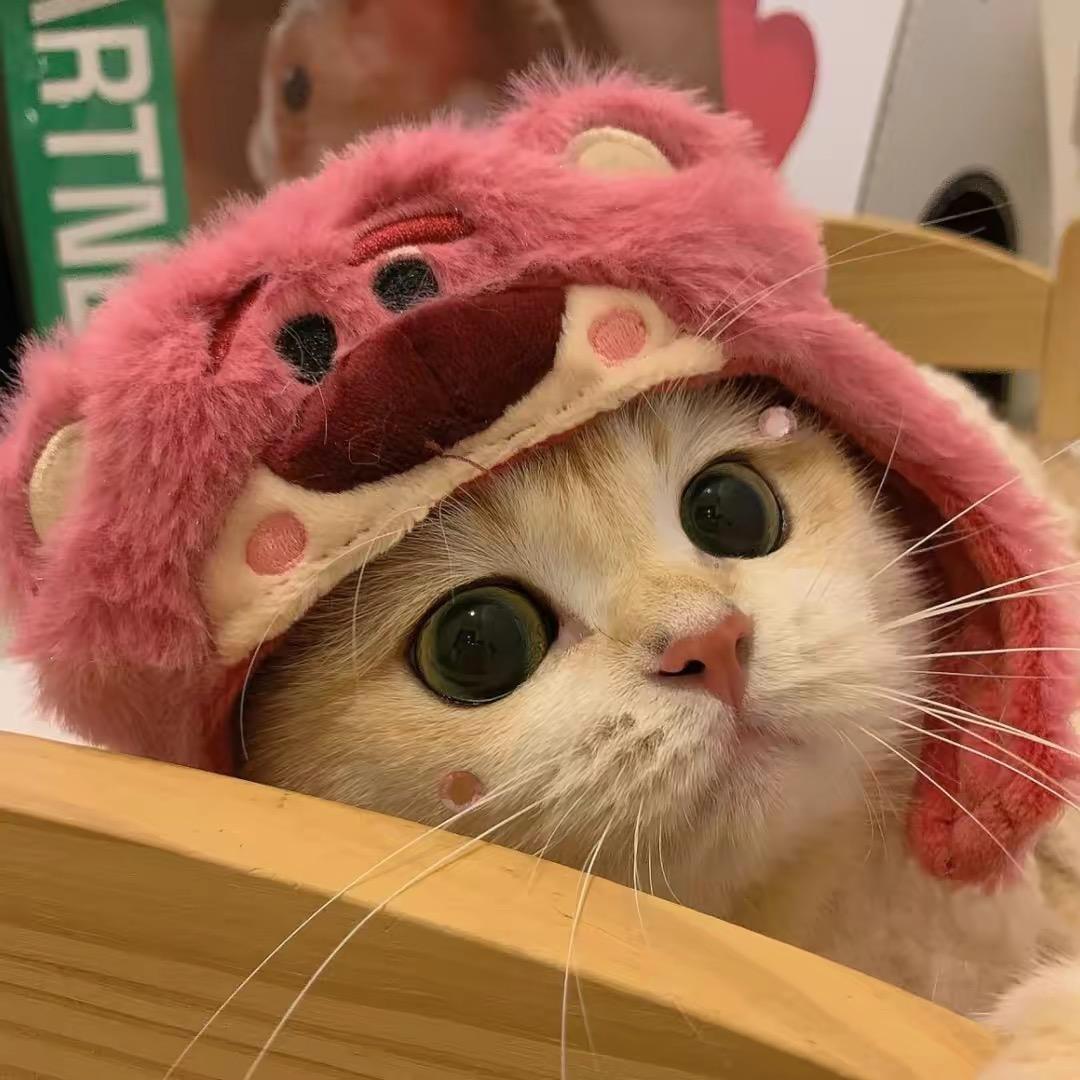 雀食牛