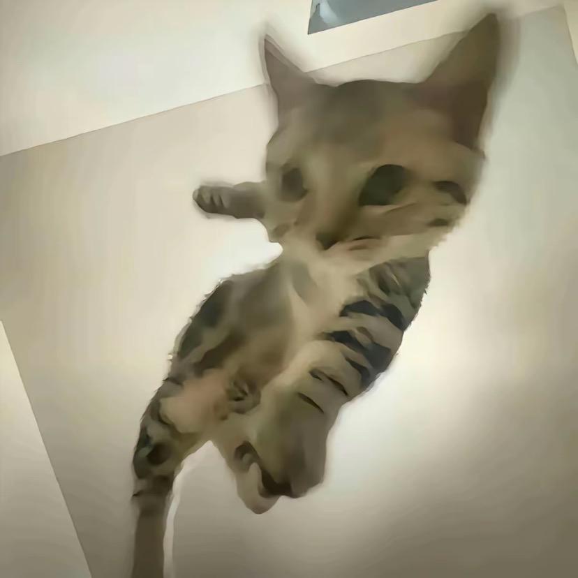 拿铁TvT（求推荐版