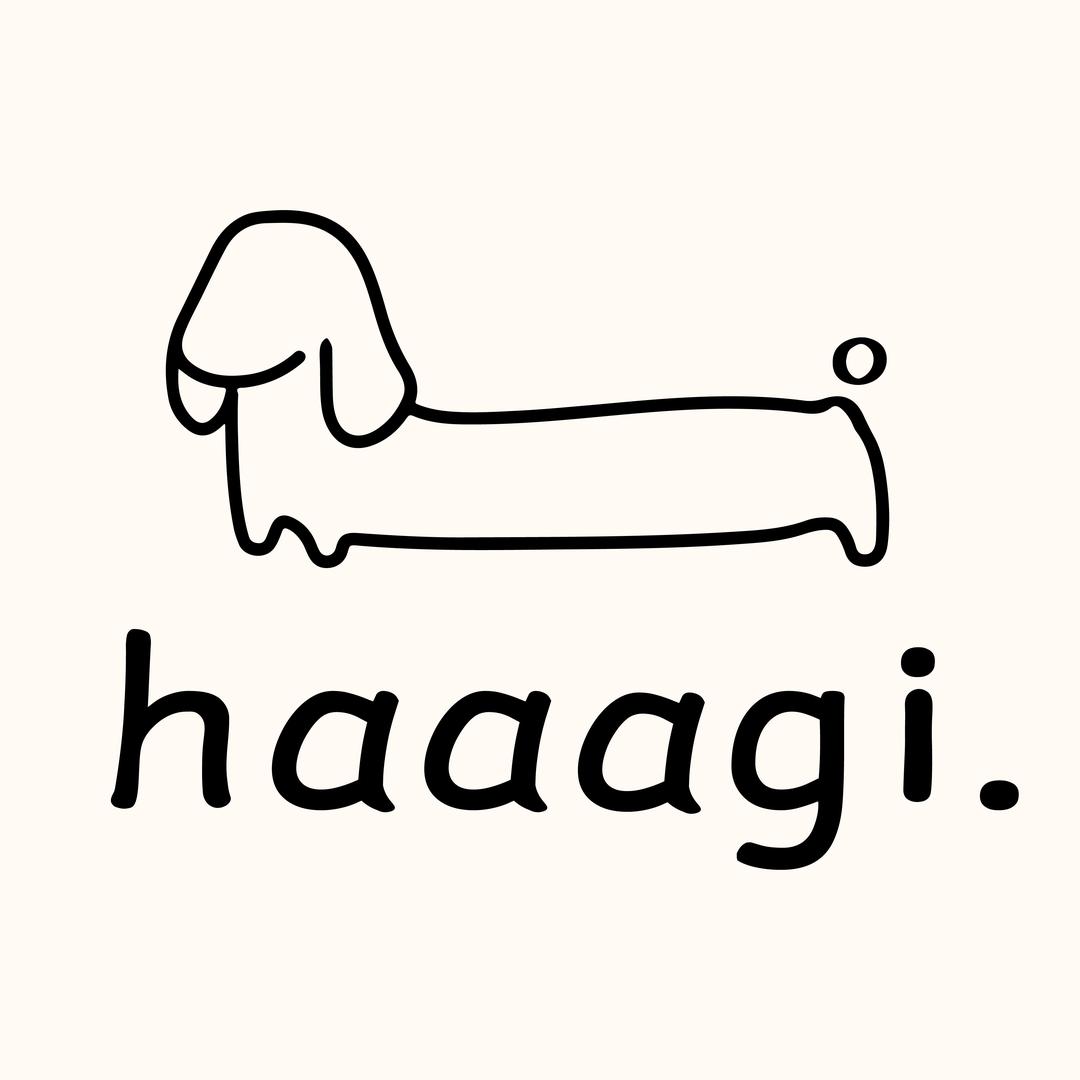 hagi