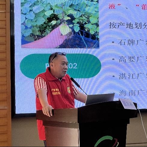 广藿香实用种植技术(蓝定基农艺师)
