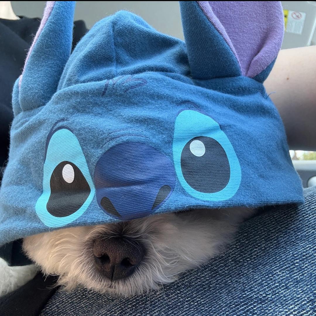 猜不透的🌧️
