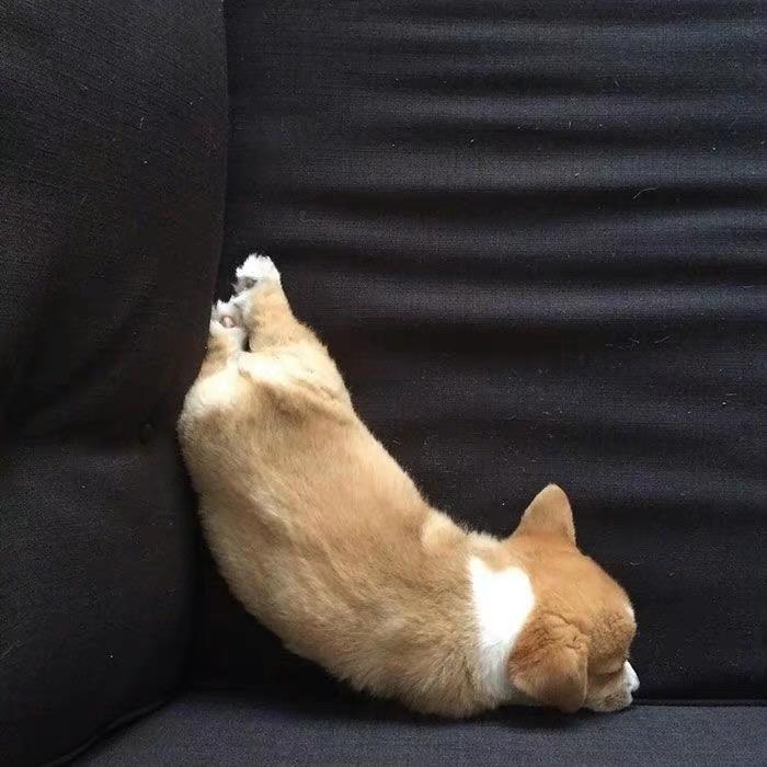 yuyu曼