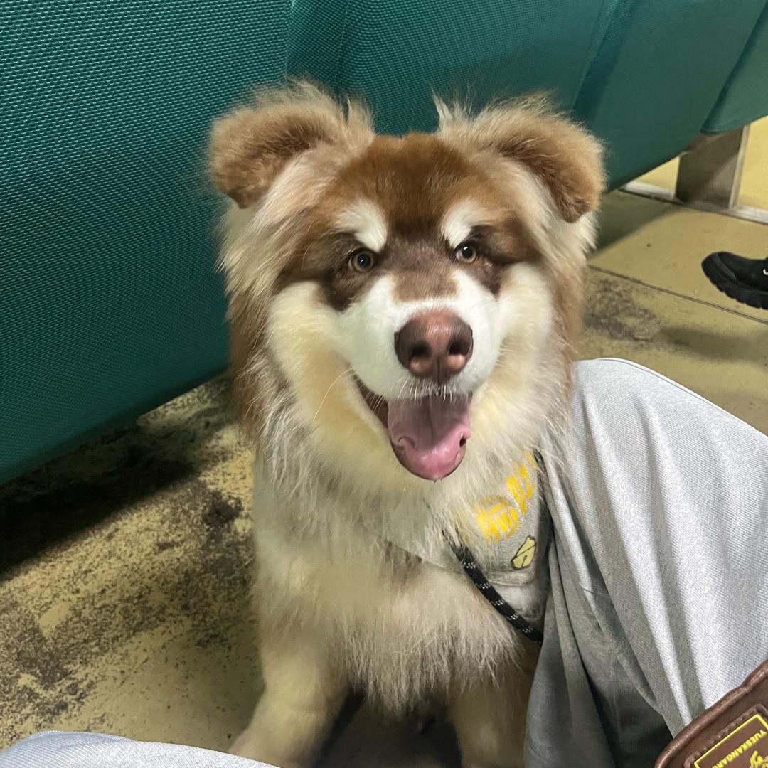 你搞笑呢