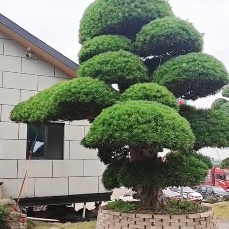 ,心态好